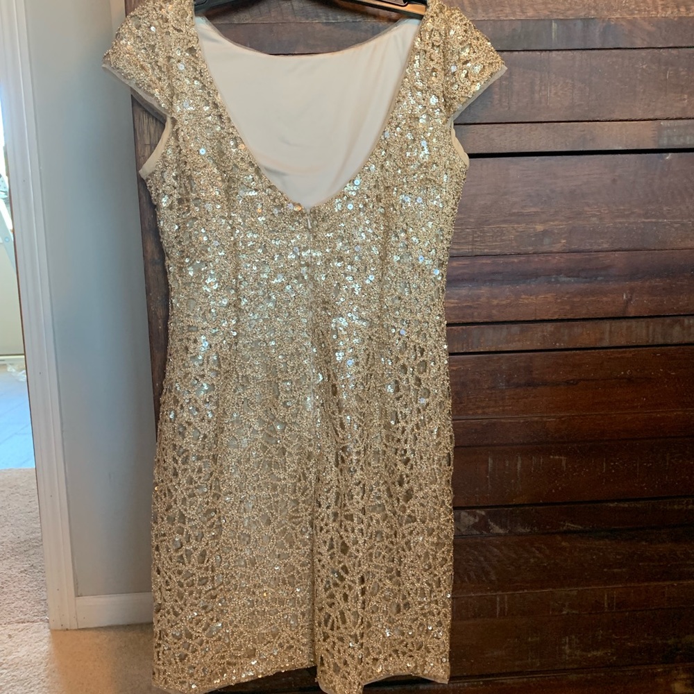 Adrianna Papell Dress - Picture 3 of 5